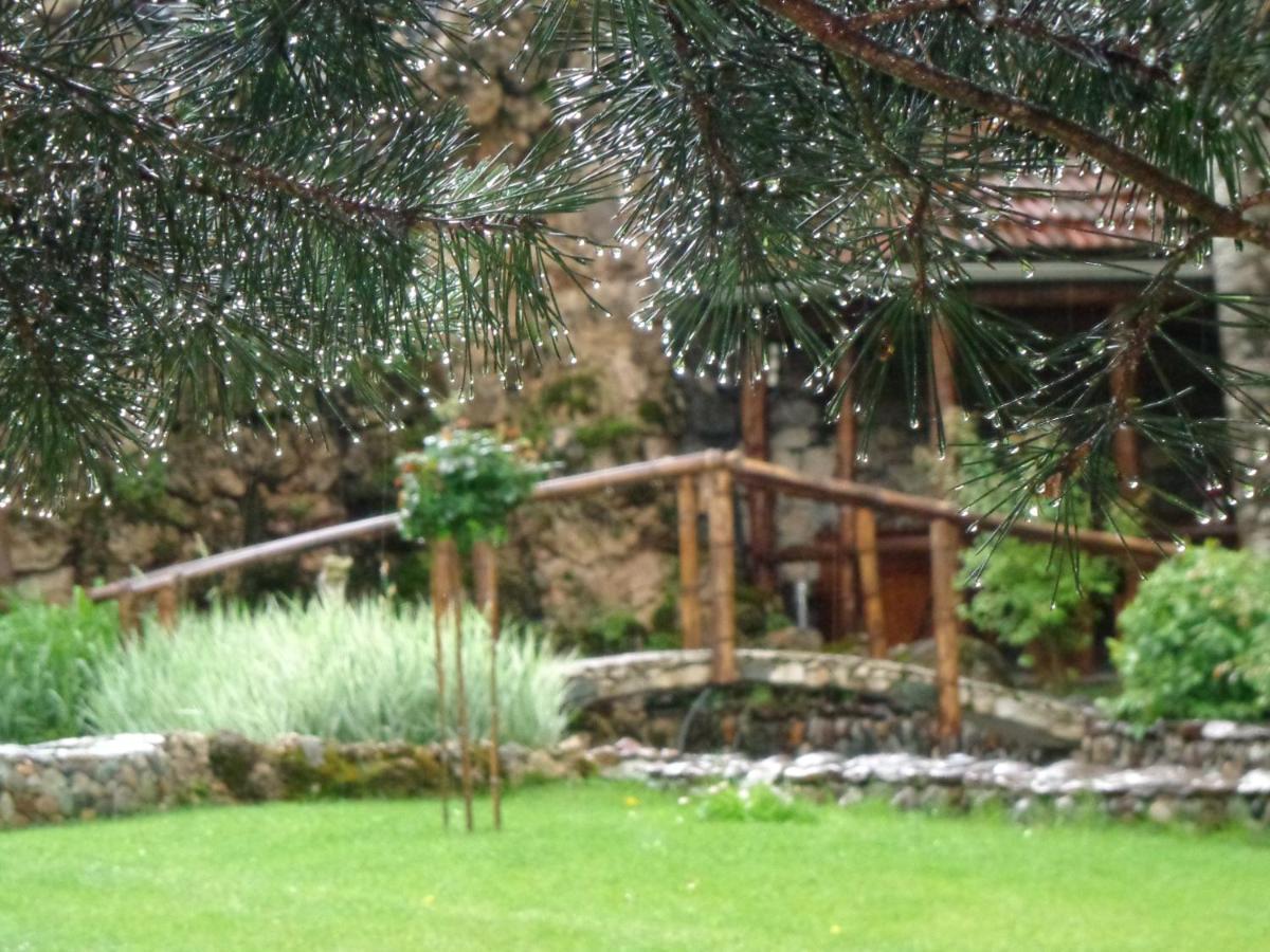 Eco Garden Bed & Breakfast Dilican Dış mekan fotoğraf