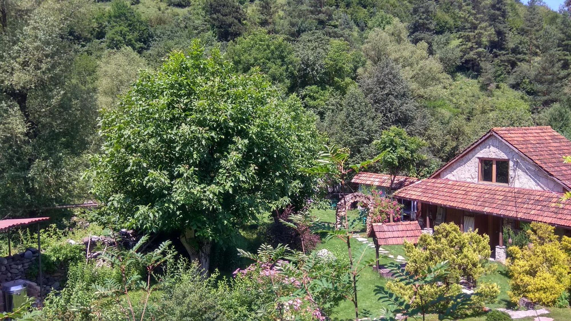 Eco Garden Bed & Breakfast Dilican Dış mekan fotoğraf