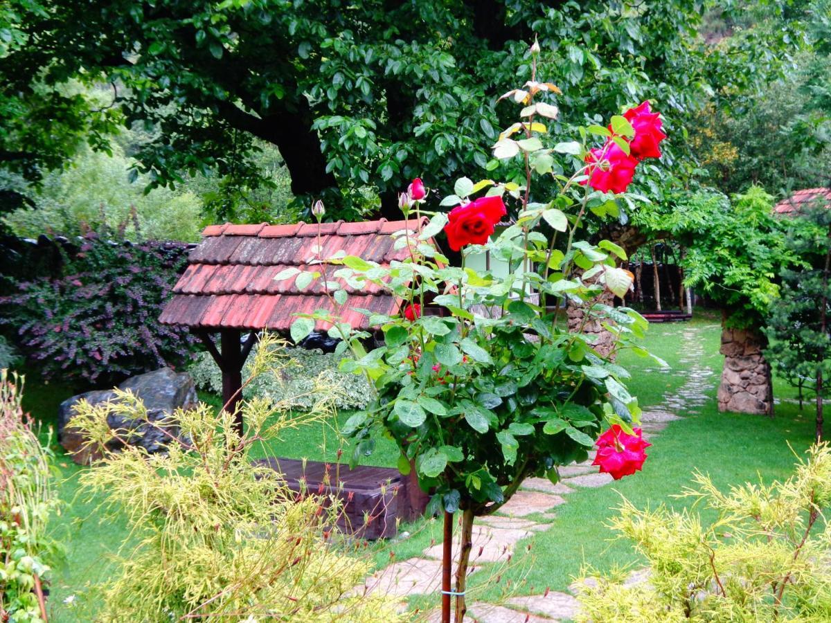 Eco Garden Bed & Breakfast Dilican Dış mekan fotoğraf